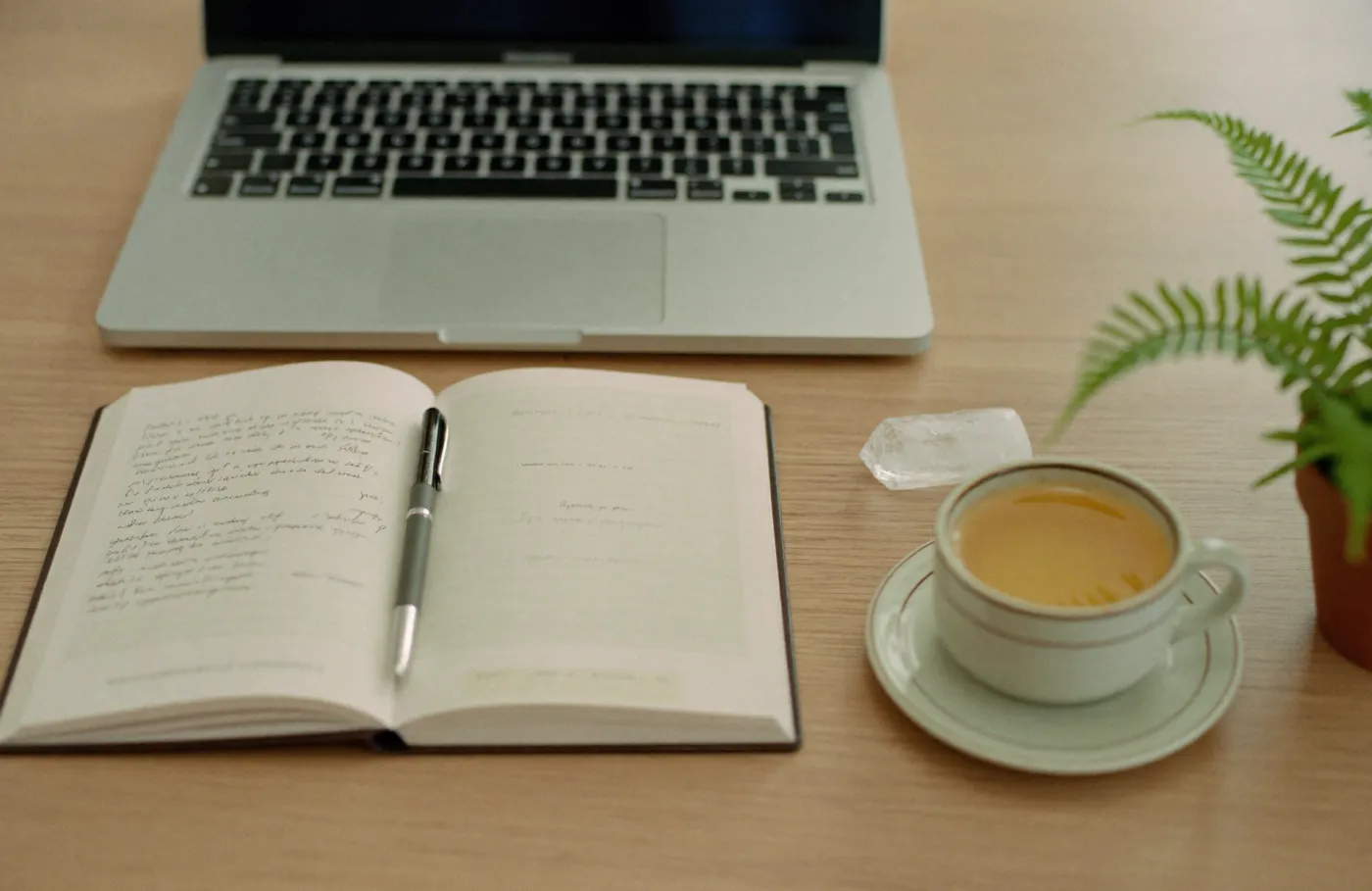 A front desk with a laptop, an open appointment book, a cup of tea and a fern